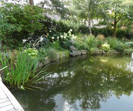 Palatinum Landschafts und Gartendesign GdbR Bild 9