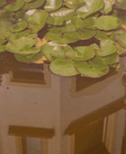 Praxis Villa BeauSite Bild 7