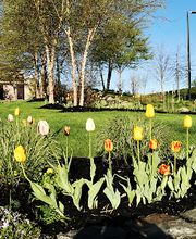 Cassidy Landscaping & Masonry image 15