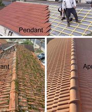 Philippe Reynard image 6