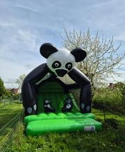 Nord Animation image 5