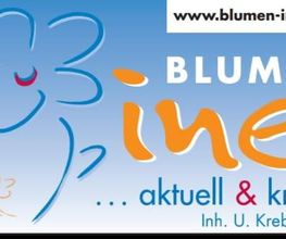 Blumen Ines Bild 1