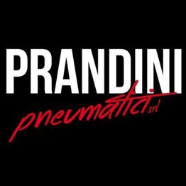 Prandini Pneumatici logo