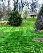 Shepherds View Landscaping & Tree Removal, LLC image 15