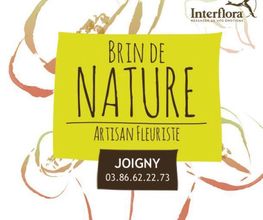Brin de Nature image 2