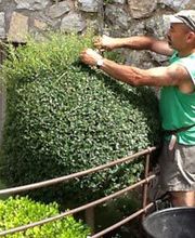 Vert Coop Services image 2