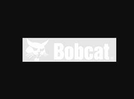 Bobcat of Erie