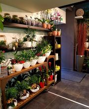 Cannelle Fleurs image 3