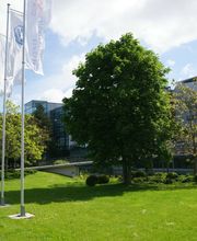 VW-Manufaktur Dresden 2