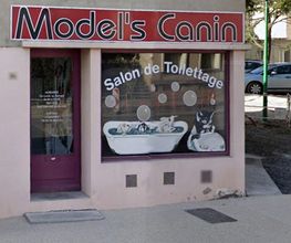 MODEL S CANIN image 4