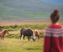 McRent Gera Bild 10