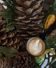 The Nest Cafe image 5