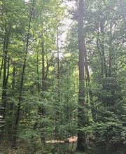 FriedWald Mainhardt Bild 5