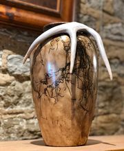 Northland Visions image 11