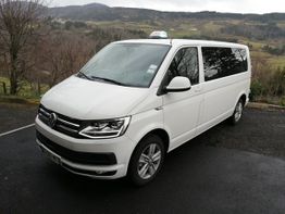 SEBASTIEN MIALON TAXI