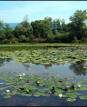 Seeland Camp Campingplatz Bild 5