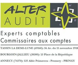 Alter Audit image 1
