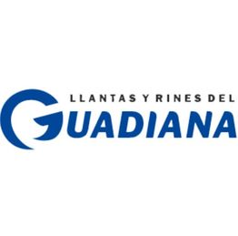 Llantas y Rines del Guadiana Suc. Felipe Pescador