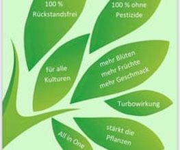 231899741-1-DE0onnHew81733492604421.jpeg