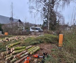 Der Gartenpionier Bild 3