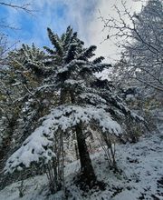 Ovalie Immobilier image 7