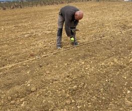 AGRI REA image 12