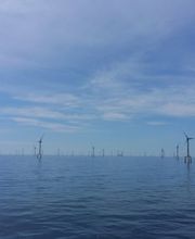 Aorta Service & Solution GmbH Bild 4