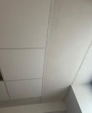 Putz Shalaj Freiburg Bild 9