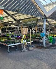HORNBACH Gartencenter Binzen Bild 3