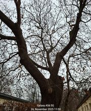 WEGA Garten & Landschaft Bild 7