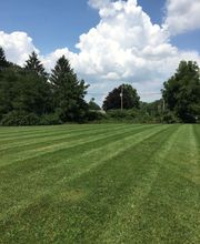 Shepherds View Landscaping & Tree Removal, LLC image 16