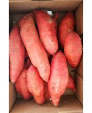 FRUTAS JAVIER CUEVAS imagen 18