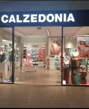 Calzedonia image 1