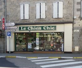 Chien Chic image 1