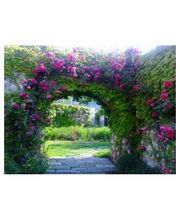 Aveyron Vallon Service image 4