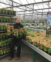 Plantencentrum Velden afbeelding 4