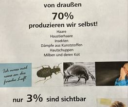 Hyla - Klara Denzler Bild 6