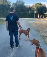 Hundezentrum Rhein-Main GbR Bild 4