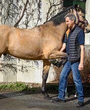 Tierklinik Rossweid AG Bild 12