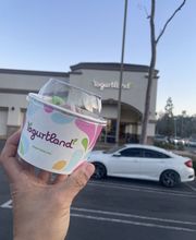 Yogurtland Santa Ana image 2