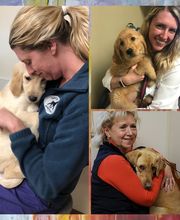 Manchester Veterinary Clinic image 5