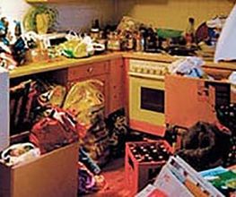 Fürst Schädlingsbekämpfung Bild 5