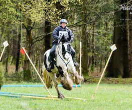 Centre Equestre De Serqueux image 6