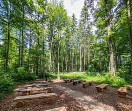 FriedWald Blaubeuren Bild 11
