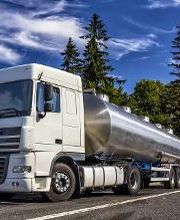 Neteges Bada imagen 4