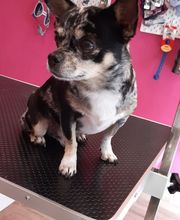 O'poils By Delphine image 7