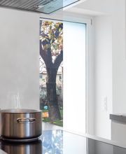 MEDIA ALPS Sagl Bild 7