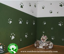 RESIDENCIA CANINA SORIA imagen 12