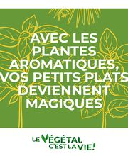 Allo Nature image 1