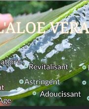 Boutouchent Abdelaziz Alexandre image 11